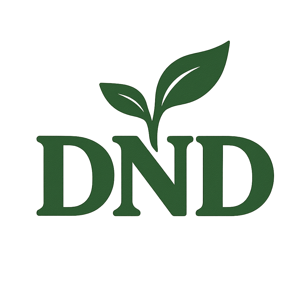 DND fashion's Store Logo